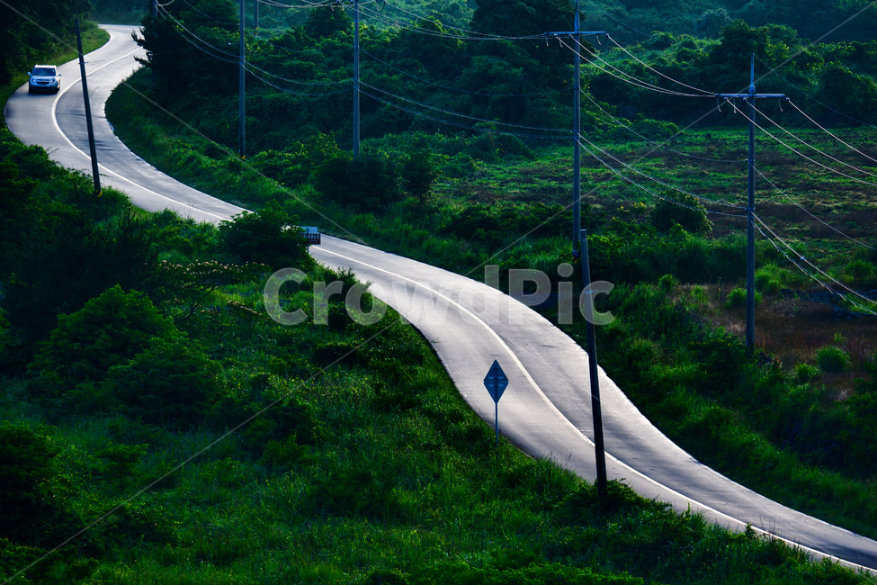 도로,길,차량,자동차,풍경,녹색,그린,식물,자연,제주도,자연,풍경,nature,landscape,road,freeway,고속 도로,highway,고속도로
