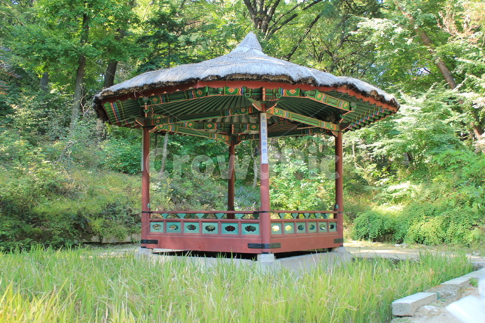 여름,정자,정원,경복궁,전통