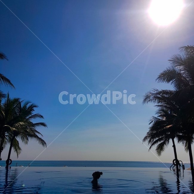 바다,수영장,다낭,여름,여름휴가,여행,베트남,베트남여행,수영,인피니트풀,야자수