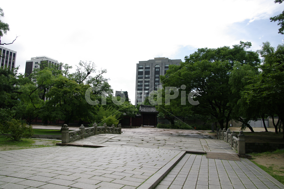 창덕궁,고궁,한옥,전통가옥,기와지붕,건축,traditional,나무,도시,풍경,city,landscape,한국도시풍경,한국도시경관,korea cityscape,path,통로,walkway,보도,flagstone,판석
