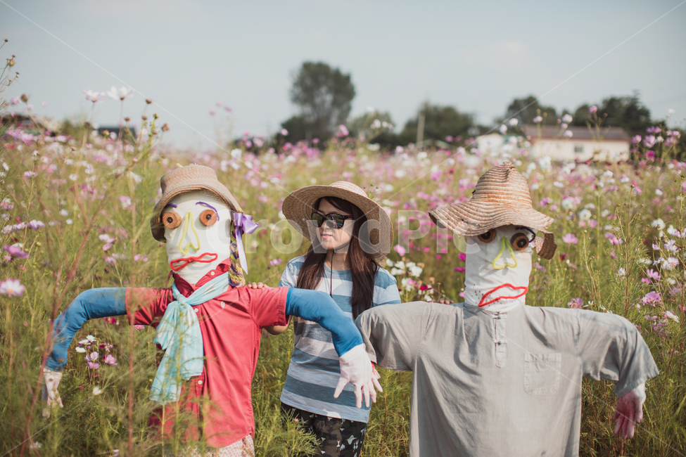 가을,논,hat,모자,apparel,의복,clothing,의류,human,인간,person,사람,scarecrow,허수아비,코스모스,꽃,cosmos,flower,여자,woman,사람,인물,인간,human,person,여성,여자,woman,female,lady