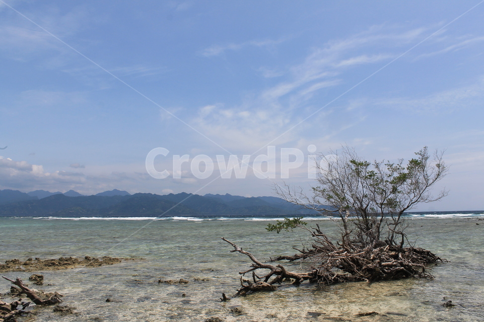 인도네시아,길리,해변,나무,나무해변,indonesia,gili,beach,beachandtree,vacation,nature,sea,고즈넉