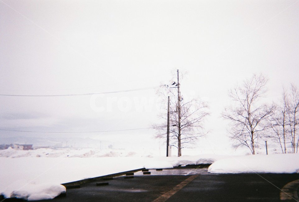 일본,아키타현,일본겨울,눈,일본눈,필름사진,겨울,계절,winter,season,자연,풍경,nature,landscape