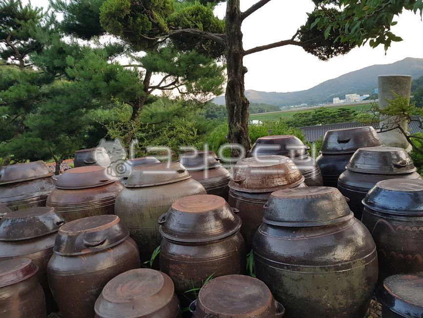 장독대, 장독, 전통, 독, 자연, 사진,이미지,일러스트,캘리그라피 - 야무진맘작가