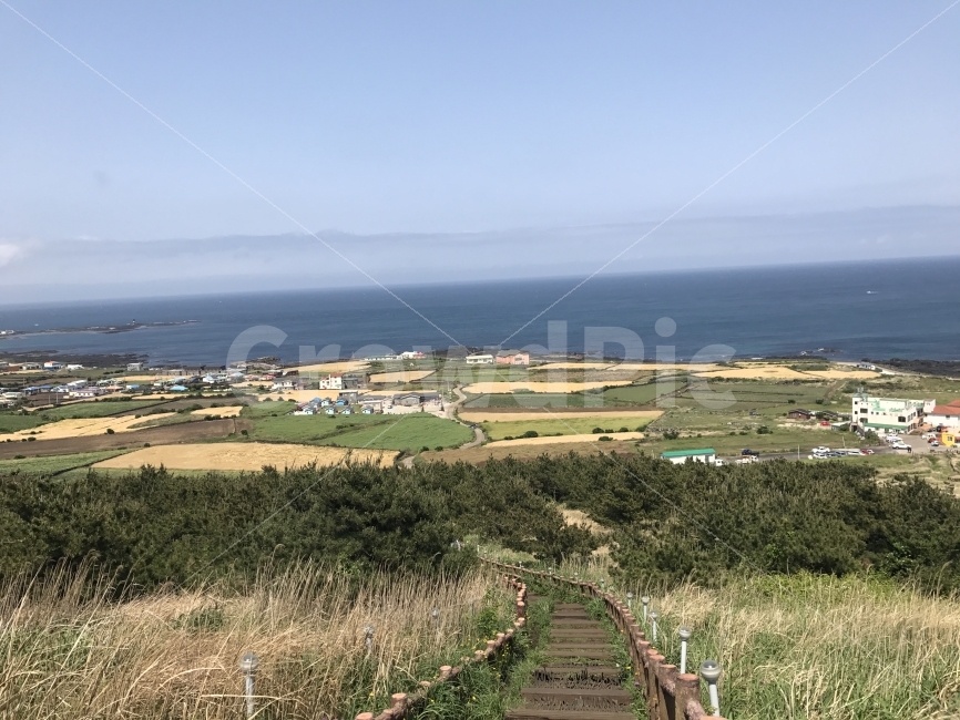 자연,감성,풍경,제주,원본,무보정,자연,풍경,nature,landscape,제주도,jeju,jeju island,시골,마을,country,rural,town,outdoors,옥외