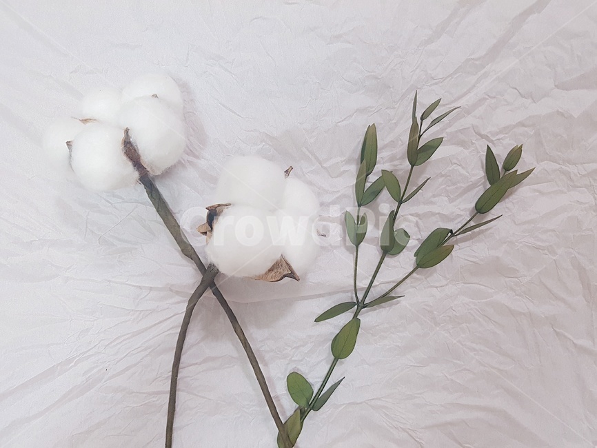꽃,풀,조화,꽃다발,flower,bundle,꽃,flower