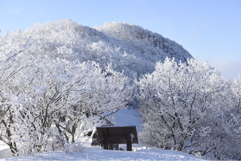 소백산,상고대,눈꽃,설경,겨울,겨울,계절,winter,season,자연,풍경,nature,landscape,한국자연풍경,한국자연경관,korea nature landscape,outdoors,옥외