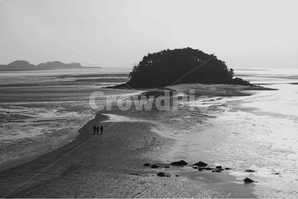 섬,바다,썰물,행인,사람,풍경,길,감성,자연,풍경,nature,landscape,해변,바다,beach,sea,흑백,모노톤,monochrome,black and white,ocean,대양,water,물,outdoors,옥외,shoreline,해안선,land,땅,promontory,곶
