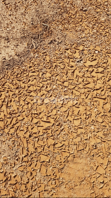 가뭄,흙,땅,황토색,갈라짐,척박,자연,nature,ground,바닥