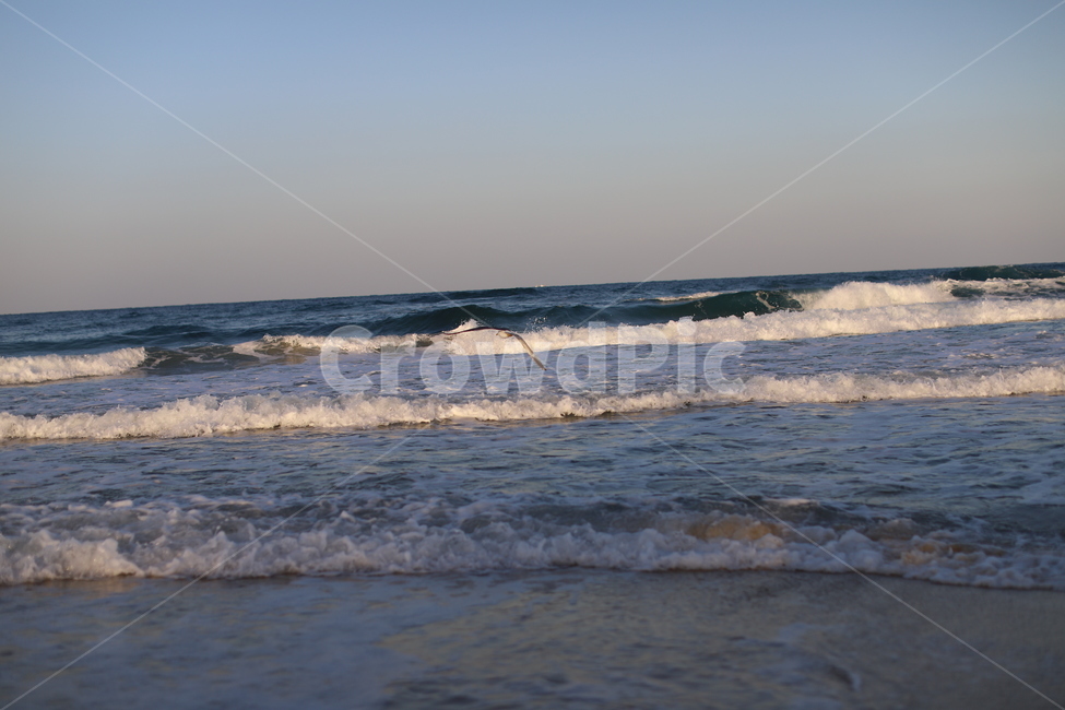 파도,안목해변,강릉,바다,동해,분위기,감성,물,갈매기,자연,풍경,nature,landscape,해변,바다,beach,sea,ocean,대양,water,outdoors,옥외