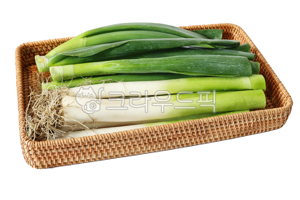 대파, 흙대파, 식재료, 음식재료, springonion, 사진,이미지,일러스트,캘리그라피 - 크리에이티브엘리작가