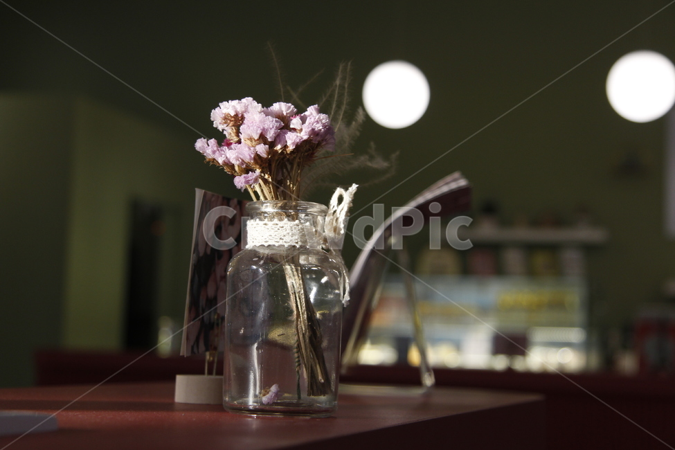 plant,식물,jar,항아리,art,꽃,flower,병장식,미술,꽃꽂이