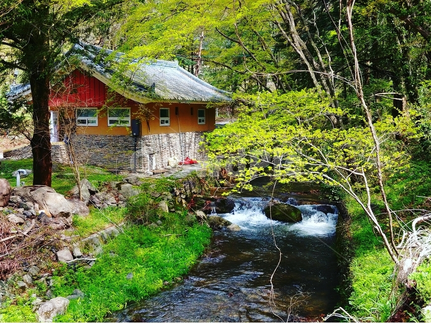 봄,풍경,장성,백양사,오정,시골,마을,풍경,landscape,country,rural,town,한국전통,한국문화,korean traditional,korean culture