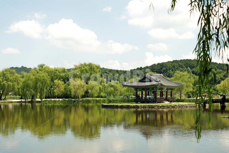 궁남지,하늘,호수,연못,휴식,풍경,landscape,landmark,반영,정자,전통,traditional,수양버들,자연,풍경,nature,landscape,한국자연풍경,한국자연경관,korea nature landscape,water,물,outdoors,옥외