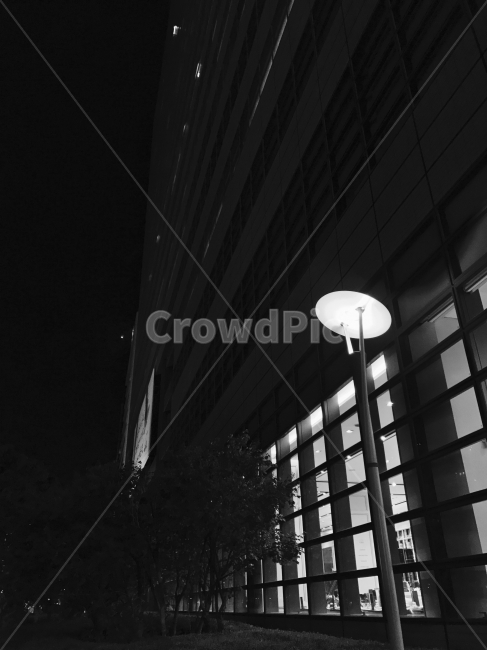 흑백,심야,광화문,가로등,불빛,흑백,모노톤,monochrome,black and white,건축물,건물외관,exterior,building,structure,architecture,construction