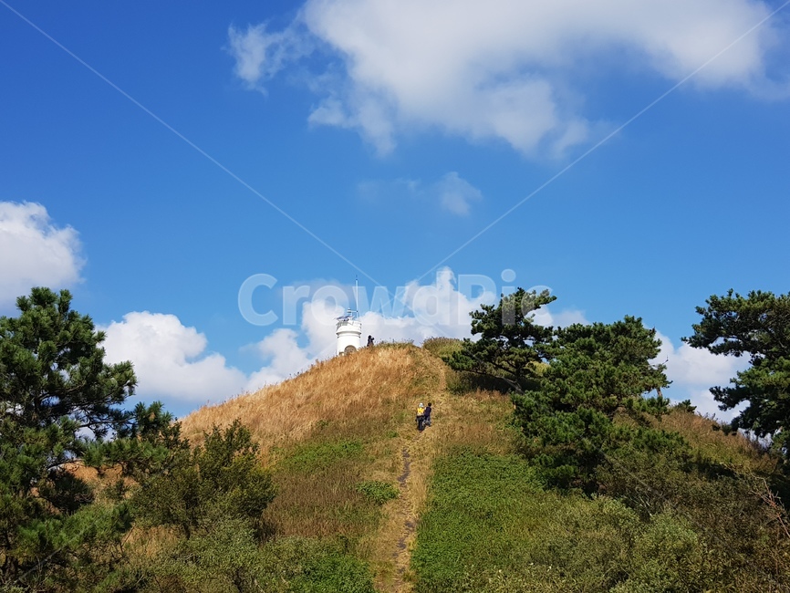 제주도,언덕,자연,풍경,들판