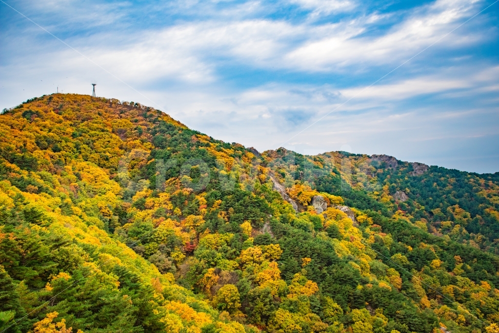 대구,앞산,등산,산,가을,가을등산,단풍,낙엽,자연,한국의산,가을,계절,fall,autumn,season,자연,풍경,nature,landscape,한국자연풍경,한국자연경관,korea nature landscape,outdoors,옥외,hill,언덕,mountain