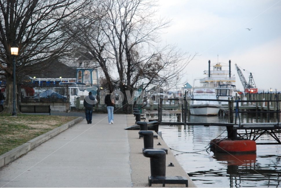 산책,항구,겨울,전등,배,건물,하늘,나무,stroll,port,pier,winter,light,lamp,ship,boat,building,sky,저녁,trees,evening,미국,america,걷기,물가,앙상한,나무가지,인도,부두