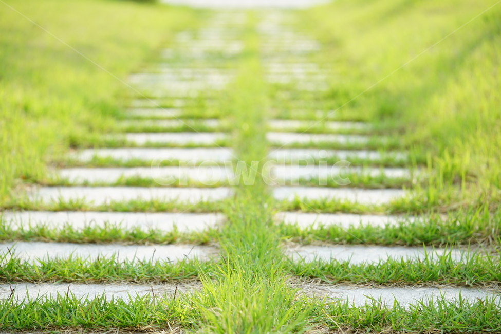풀,자연,녹색,산책,풍경,공원,잔디,그린,자연,풍경,nature,landscape,plant,식물,grass