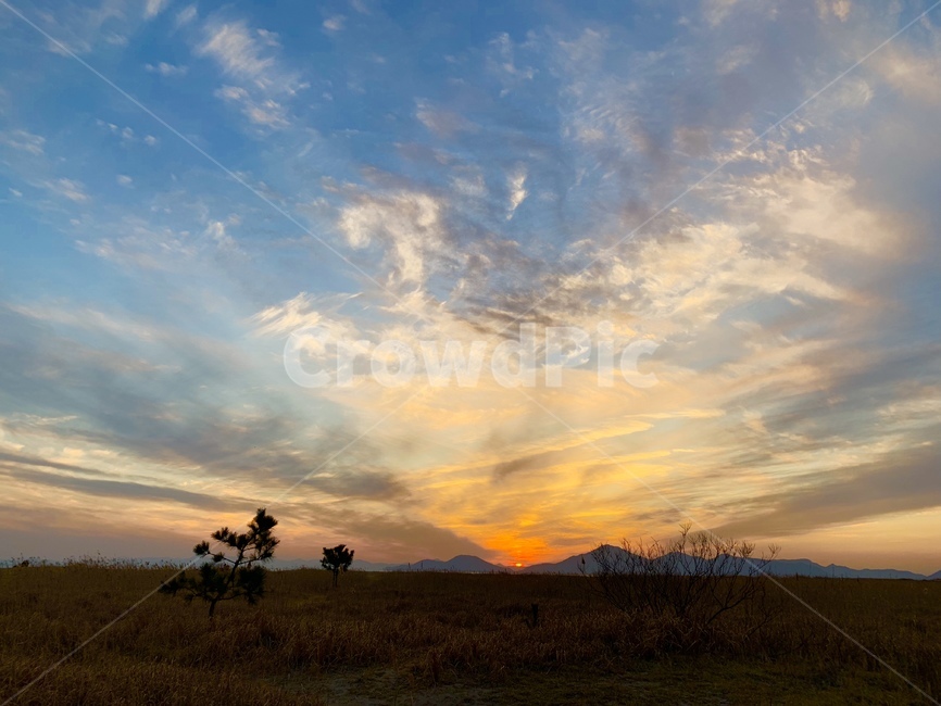 노을,하늘,구름,석양,오후,자연,풍경,nature,landscape,outdoors,옥외,savanna,대초원,grassland,목초지,field,들