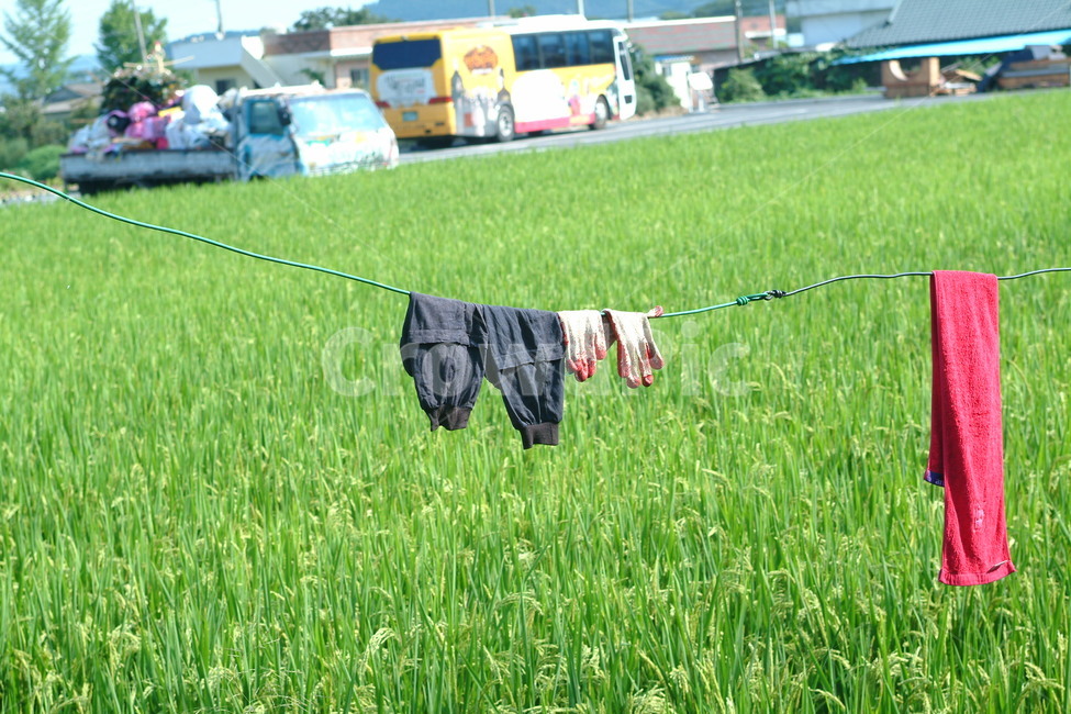 휴식,여름,풍요,대비,빨래,시골,마을,풍경,landscape,country,rural,town
