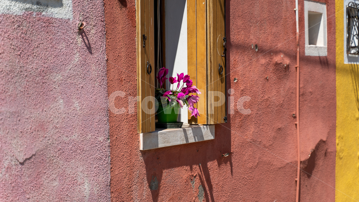 부라노섬,부라노,베니스,베네치아,이탈리아,도시,알록달록,유럽,burano,venice,venezia,색감,건물,하늘,해외도시,해외,화분
