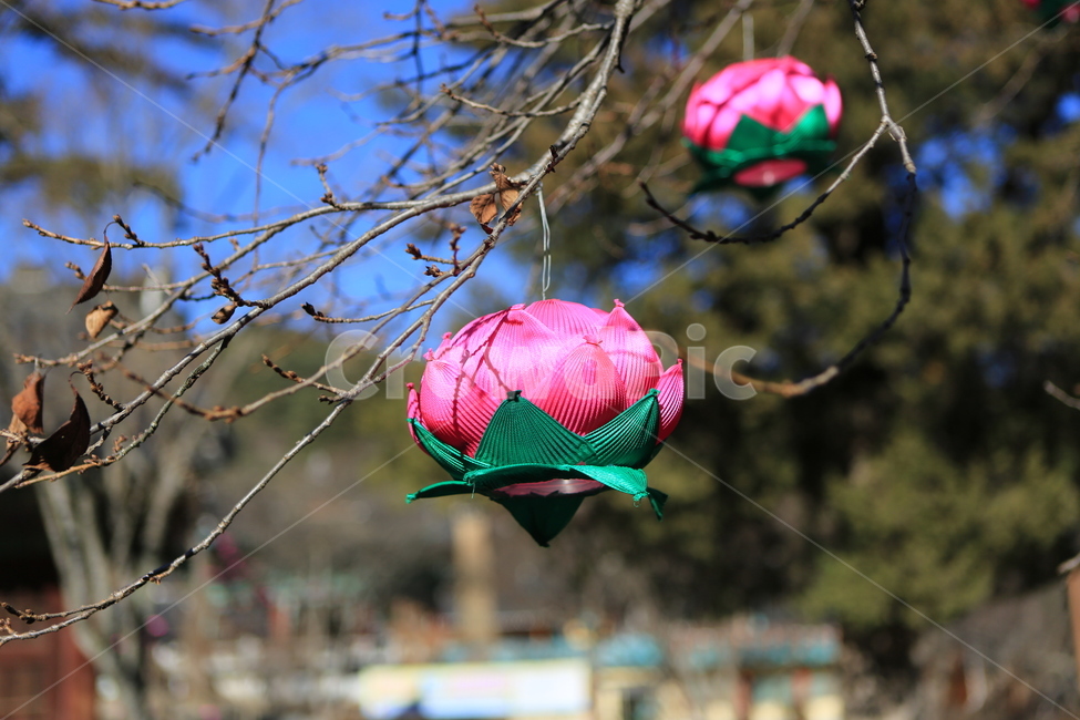 돌탑,사찰,소원,연등,불교,석가탄신일,초파일,종교,신앙,religion,belief,faith,축제,행사,festival,carnival,event