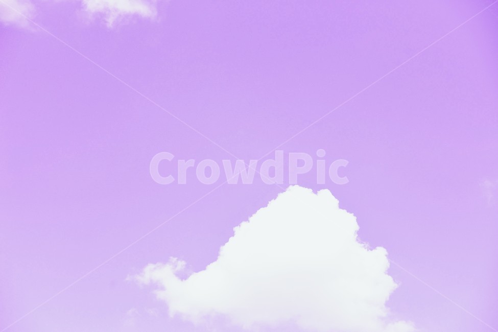 nature,자연,purple,sky,보라색,보랏빛하늘,하늘,감성사진,몽환