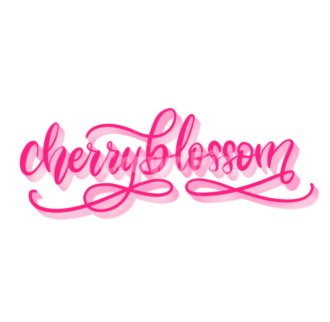 벚꽃,cherryblossom,캘리그라피,체리블라썸,영문,봄,계절,spring,season,꽃,flower,캘리그라피,손글씨,calligraphy