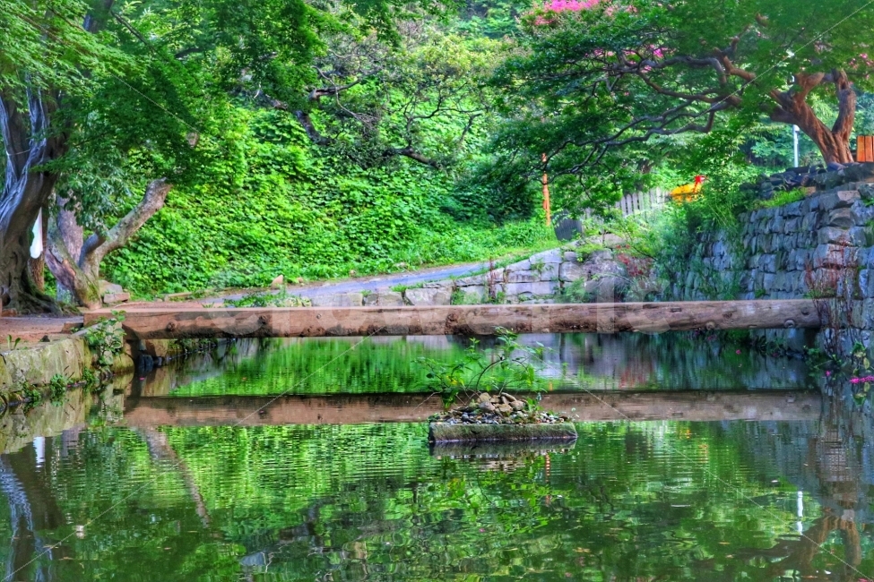 서산,개심사,못,아침,출사,자연,풍경,nature,landscape,여름,계절,summer,season,water,물,outdoors,옥외,pond