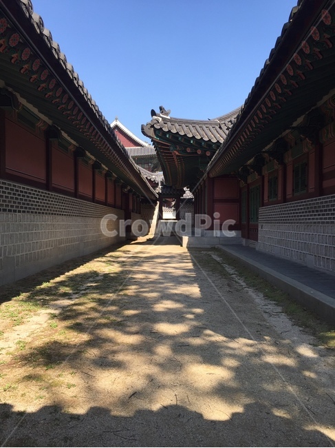 한옥,창경궁,기와,고궁,지붕,roof,건물,그림자,temple,한국전통,한국문화,korean traditional,korean culture