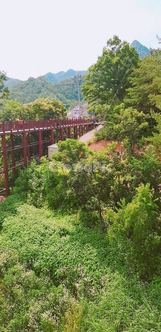 나무,풀,산,자연,풍경,자연,풍경,nature,landscape,outdoors,옥외,garden,정원,arbour,정자