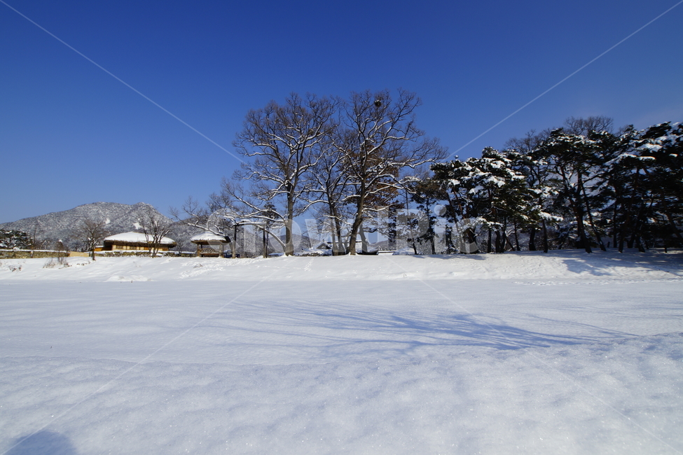 외암마을,겨울,설경,풍경,고향,아산,겨울,계절,winter,season,시골,마을,풍경,landscape,country,rural,town,한국전통,한국문화,korean traditional,korean culture