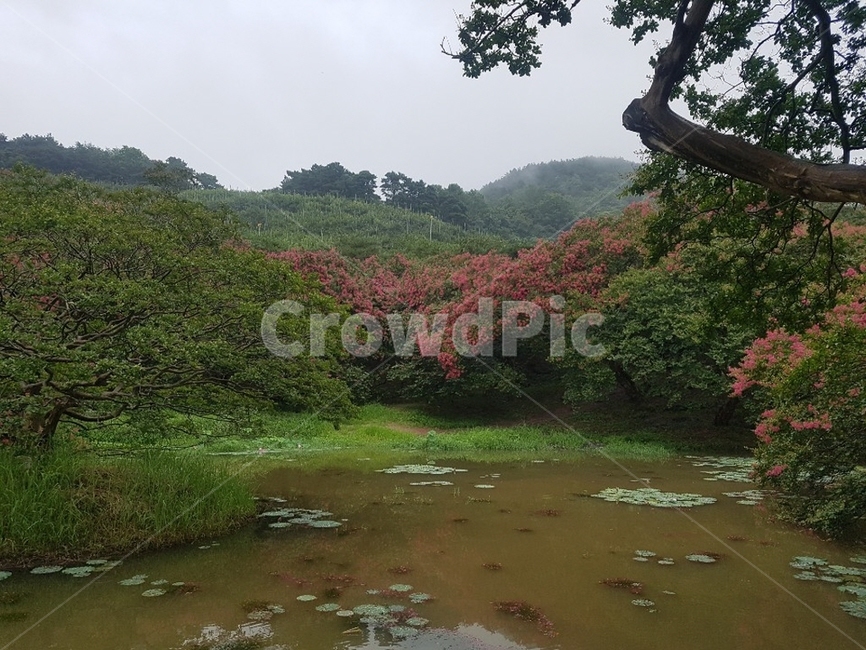 water,풍경,자연,힐링,배경,자연,풍경,nature,landscape,outdoors,옥외,물