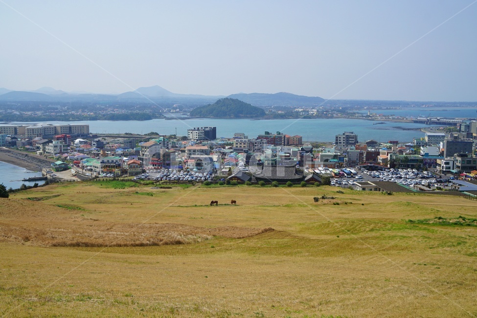 마을,바다,하늘,들판,풍경,자연,풍경,nature,landscape,한국자연풍경,한국자연경관,korea nature landscape,제주도,jeju,jeju island,outdoors,옥외,경치,scenery,building,건물,urban,어반,neighborhood,이웃,land,땅