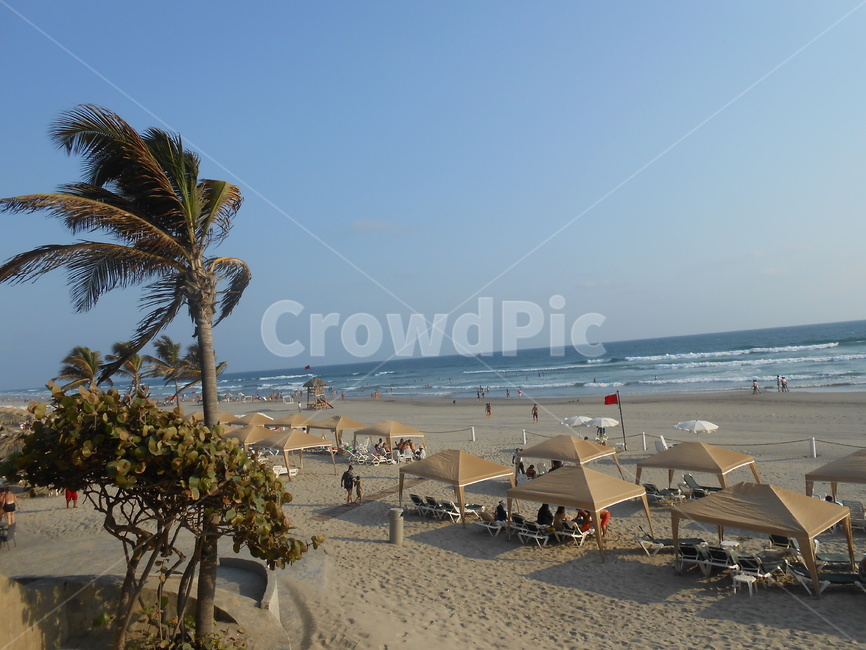 바다,해변,여행,바람,야자수,파라솔,자연,풍경,nature,landscape,해변,바다,beach,sea,여행,휴가,traveling,vacation,trip,summer,여름,outdoors,옥외,water,물,ocean,대양