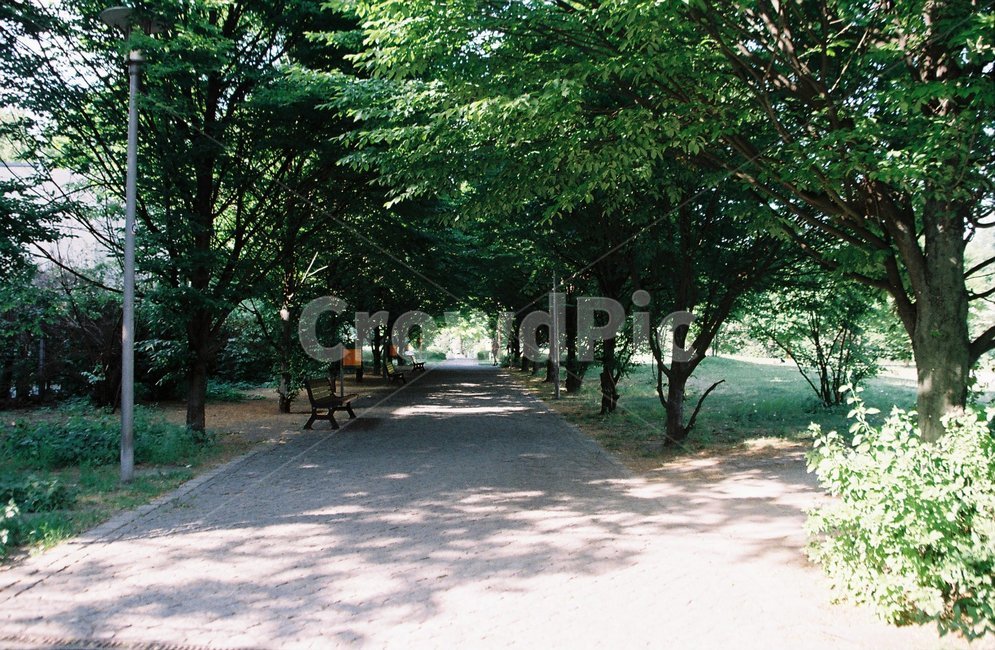 유럽,사람,베를린,공원,자연,자연,풍경,nature,landscape,garden,정원,outdoors,옥외,arbour,정자,bench,벤치
