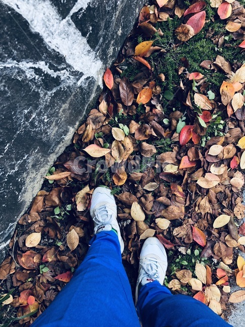 계절,가을,다리,외로움,낙엽,가을,계절,fall,autumn,season,사람,인물,인간,human,person,신체일부,몸,body