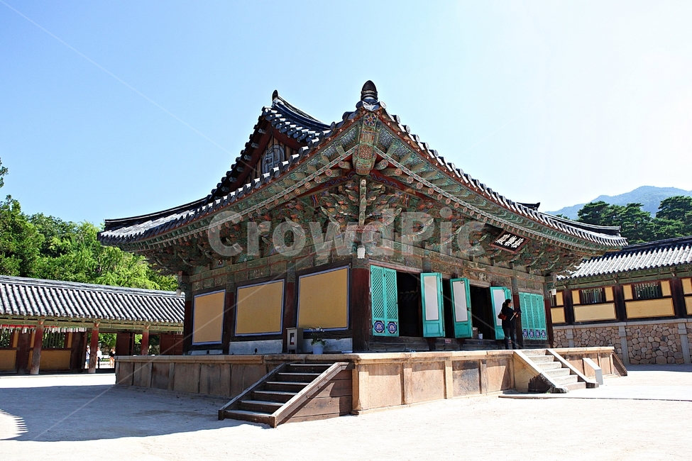 경주,불국사,절,사찰,국보,보물,전통,기와집,여름,집,한옥