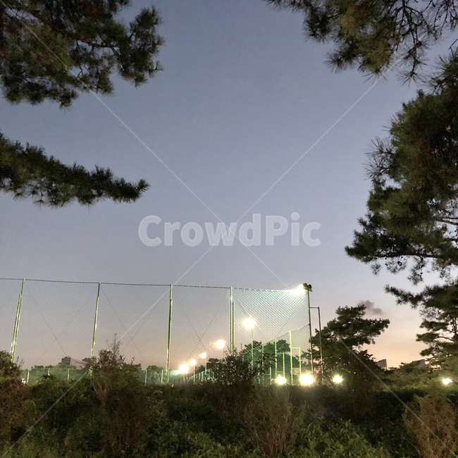 저녁,가로등,일상,하늘,파스텔톤,자연,풍경,nature,landscape,야경,밤,nightscape,night,light,빛,flare,플레어