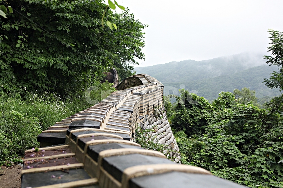 남한산성,성,성곽,길,둘레길,벽,숲,숲길,담,돌담,여름,풍경