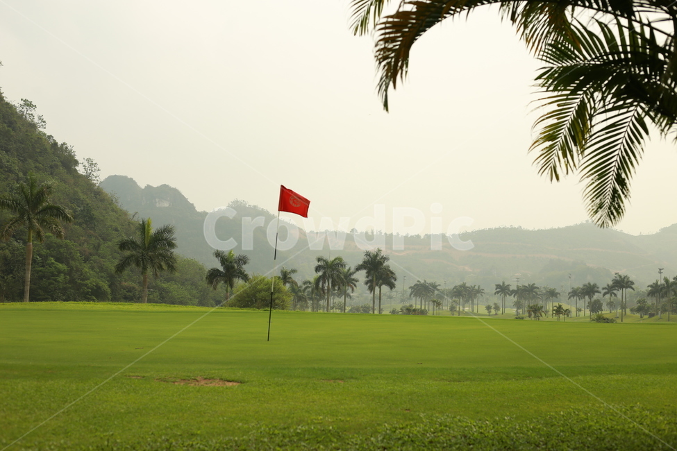 field,들,outdoors,green,golf,golfcourse,골프,골프코스,깃발
