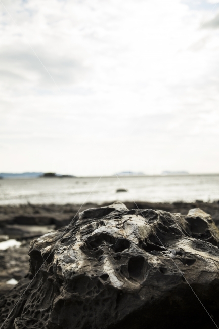 서해바다,기암괴석,바닷가,벌,서해안,자연,풍경,nature,landscape,해변,바다,beach,sea,흑백,모노톤,monochrome,black and white,ocean,대양,water,물,outdoors,옥외