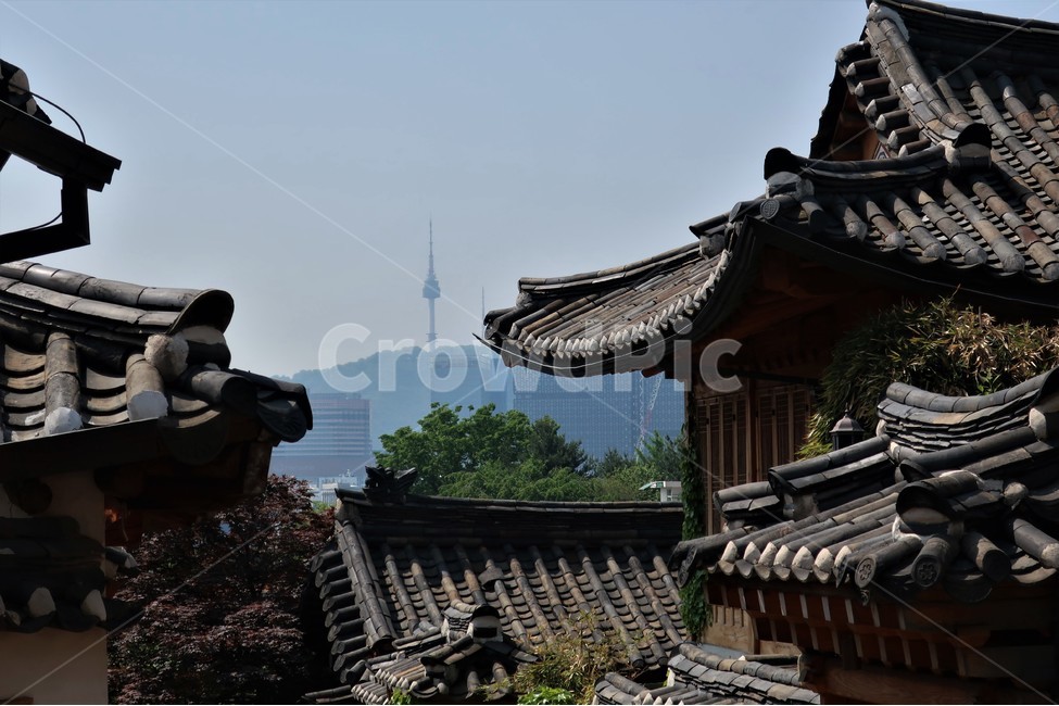 전통,빈티지,한옥,북촌,서울,한국,대한민국,집,디자인,창문,건축,건축물,문화,스타일,목재,주택,기와,지붕,처마,고풍,보존,보호,전통미,가옥,골목,풍경,도시,풍경,city,landscape,한국도시풍경,한국도시경관,korea cityscape,한국전통,한국문화,korean traditional,korean culture,건축물,건물외관,exterior,building,structure,architecture,construction,roof