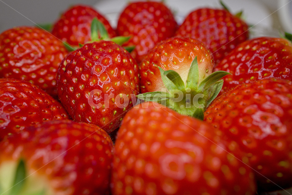 background,berry,closeup,delicious,dessert,diet,food,fresh,fruit,green,healthy,juicy,macro,nutrition,organic,red,ripe,strawberry,sweet,vegetarian,vitamin,딸기,과일,빨간색,빨강,레드,디저트,음식,식재료,요리,food,cook,meal,dishes,food reserves,과일,열매,fruit