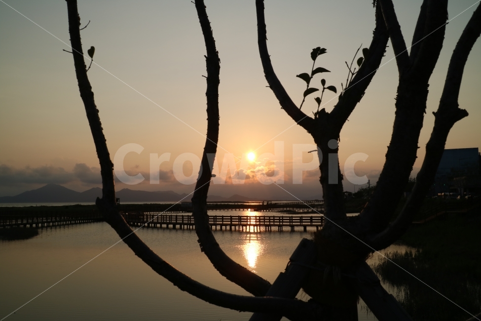 하늘,sky,sunset,해질녘,석양,노을,풍경,view,자연,nature,바탕화면,감성사진,나무,부산,공원,다대포,자연,풍경,nature,landscape