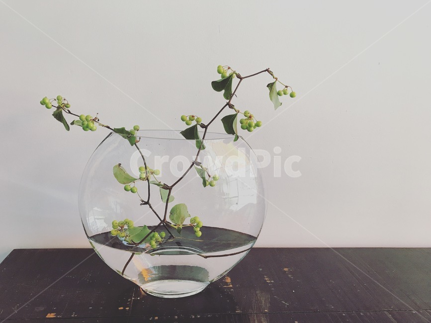 망개나무,꽃꽂이,그린,green,시원한,청량감,투명한,열매,fiorist,flower,berchemia,감성사진,여름,summerplant
