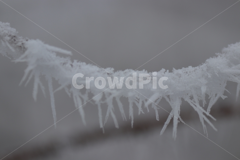 눈,snow,자연,nature,ice,눈꽃사진,상고대,꽃,가시꽃,겨울,계절,winter,season