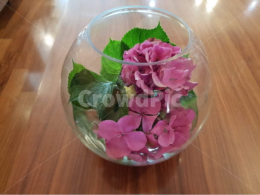꽃,식물,화초,flower,꽃꽂이,분홍꽃,조화,실내용화초,화분,화초,house plant