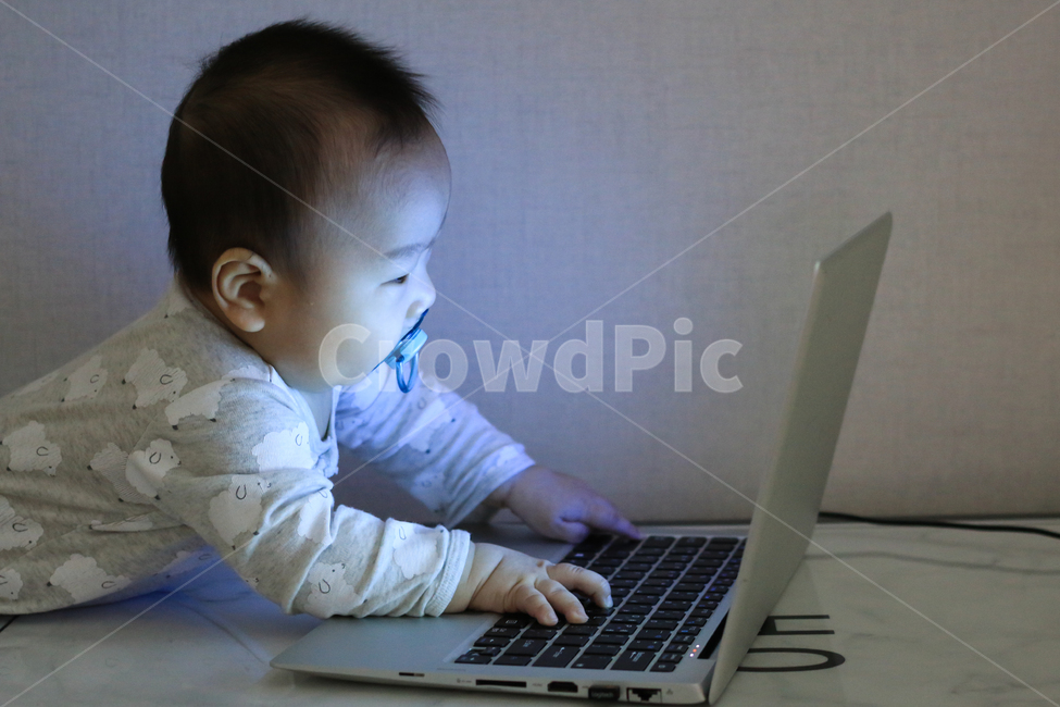 아기,애기,컴퓨터,노트북,집중,업무,야근,워라밸,타이핑,랩탑,유아,영아,귀여운,자판,타자,남자아이,남자아기,일,아들,작업,모니터,키보드,작은,어린,아가,인터넷,얼리어답터,사무직,아동,아동노동,사람,인물,인간,human,person,영유아,아기,애기,아이,infants,baby,정보통신기술,전자기기,전자제품,it,information,technology,electronic equipment